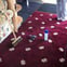 Five star carpet fitting