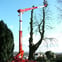 d.m. tree and landscape contractors