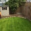 D.e.w.tree & garden services