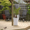 D A Thomas Property Services