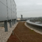 Pegasus Flat Roofing