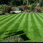 South Garden Services