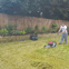 Dorian Landscaping & House Maintenance
