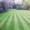 Hadleys Tree and Garden Services Ltd.