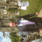 Daz Colwill & Son Limited