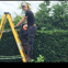 Doe Tree surgeons