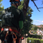 Saw Tree Cutting Service