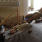 Evans Plumbing Solutions