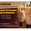 C & M Carpentry & Construction