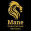 Mane Construction Services