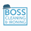 BOSS CLEANING&IRONING SERVICES LTD