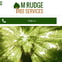 M Rudge Tree Services & Grounds Maintenance