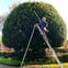 Oakwood Tree Care & Landscaping